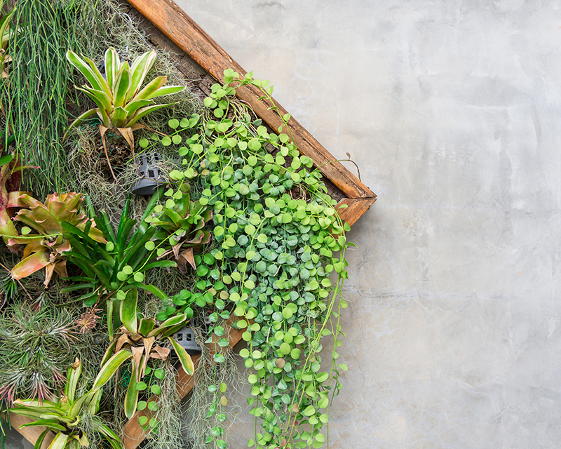 How To Install a Vertical Garden