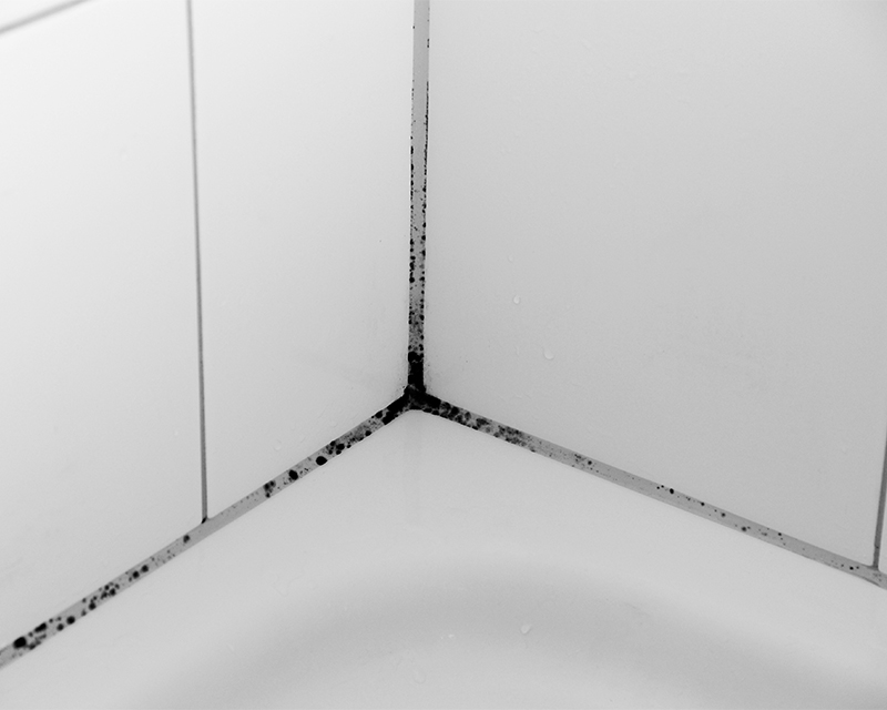 How To Get Rid of Mould in Your Home